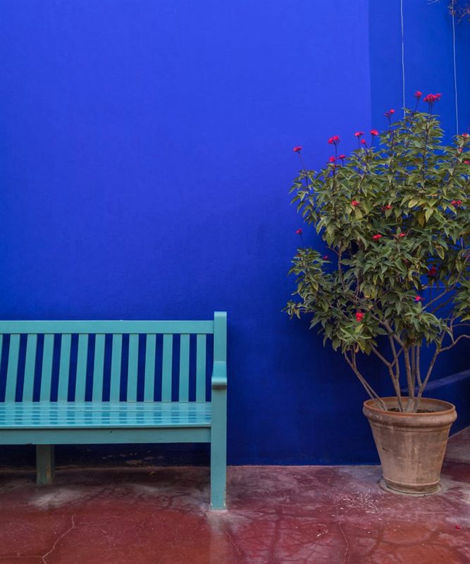 Foto van Cederic – tentoonstelling 2025