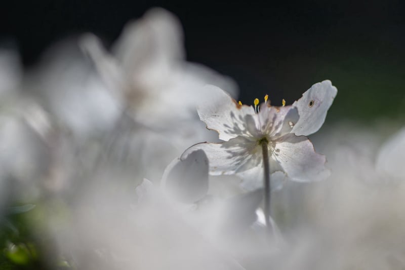 Foto van Lydia – tentoonstelling 2025